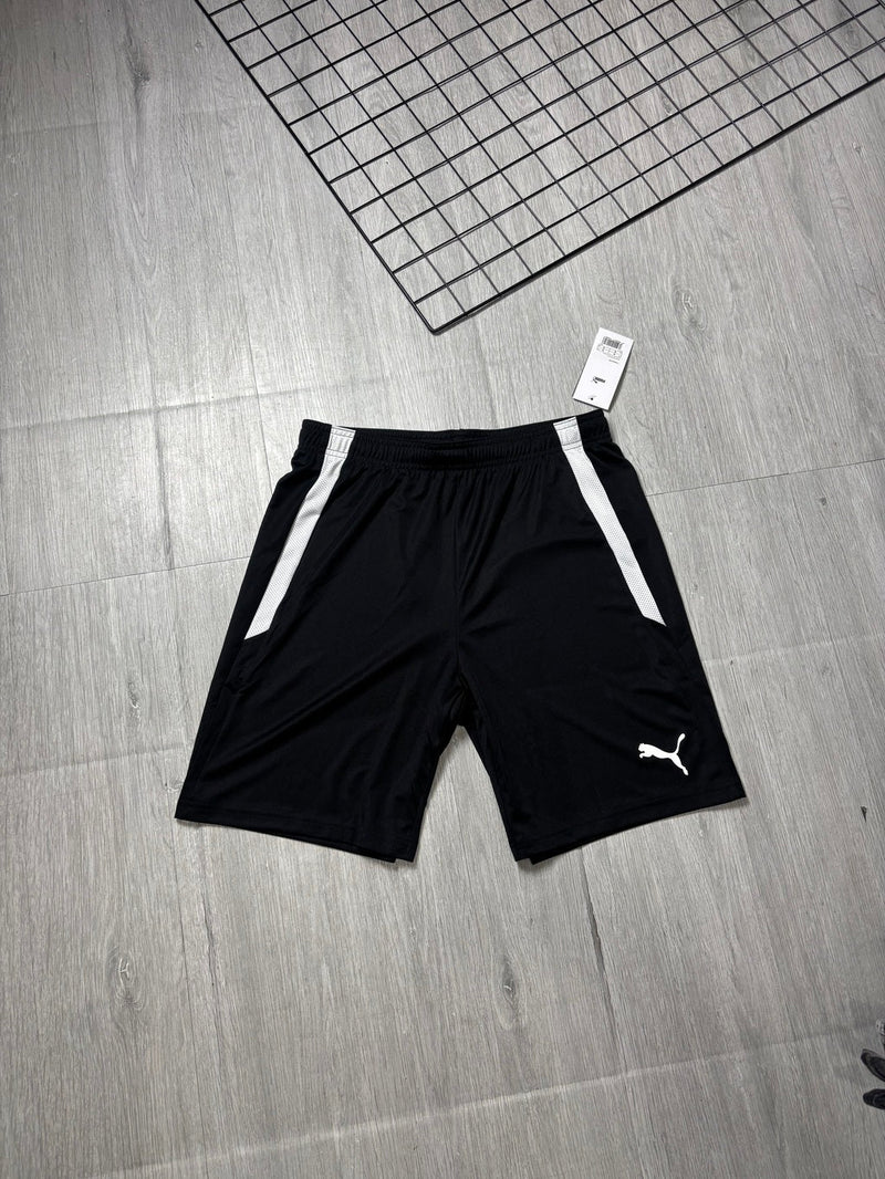 Conjunto Puma